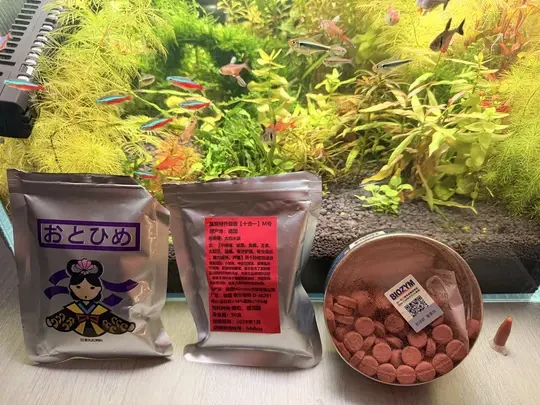【灯鱼新手】4种常见鱼粮选购与喂食方法参考