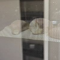 双旦焕新厨房体验：美的R6Pro蒸烤箱如何用科技重新定义烹饪