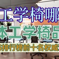 人体工学椅哪家好？2026人体工学椅子品牌排行榜前十名权威测评