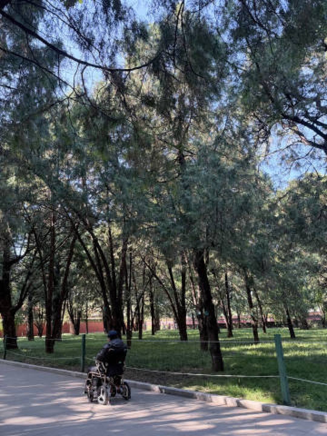 余华为史铁生的人生拍了最热血的结尾：他终于能跑了