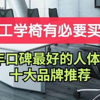 人体工学椅有必要买吗？2026年口碑最好的人体工学椅十大品牌推荐