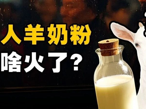 成人羊奶粉突然走红，看伊利倍畅如何引领新风尚？