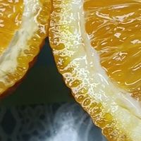 赣南脐橙:甜美果香的极致体验