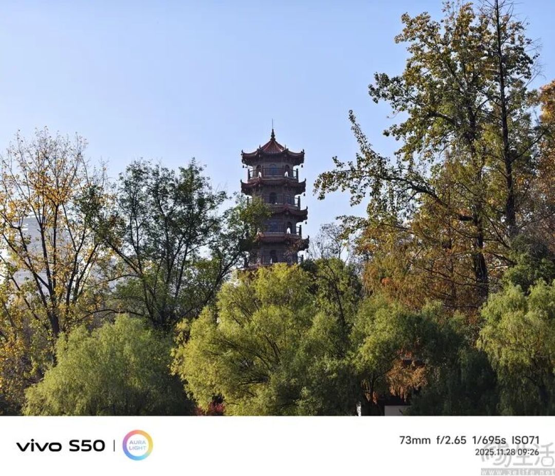 vivo S50首发评测:能拍还“耐玩”,重新定义标准版