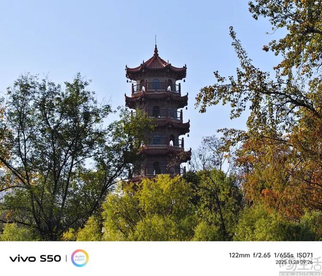 vivo S50首发评测:能拍还“耐玩”,重新定义标准版