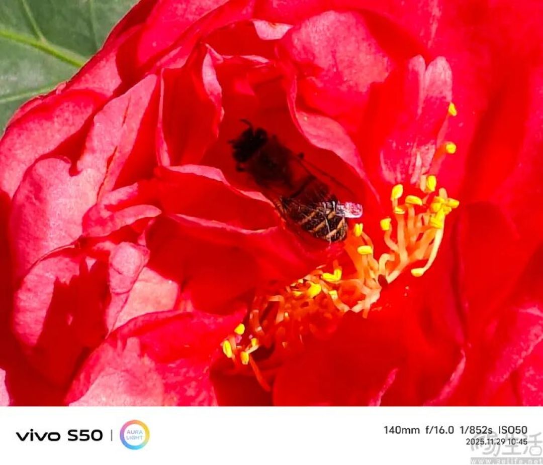vivo S50首发评测:能拍还“耐玩”,重新定义标准版