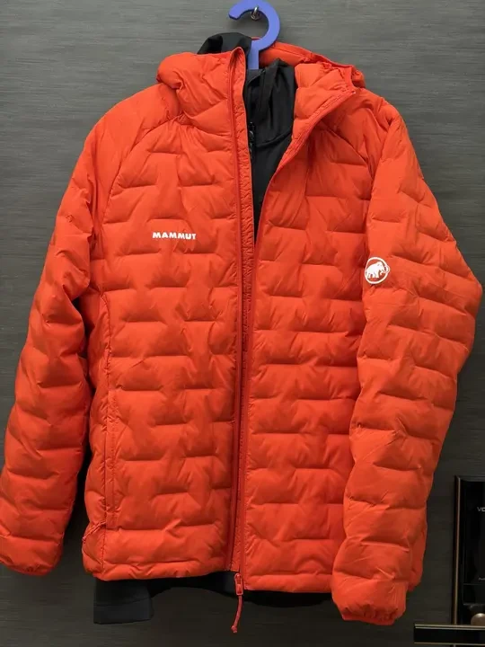 最近象含量爆表了