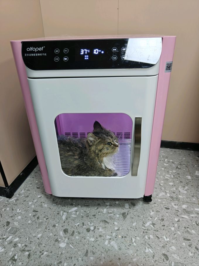 小佩宠物美容电器