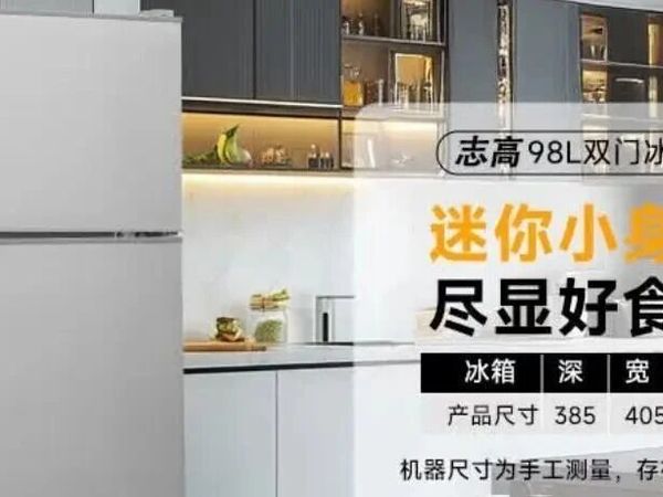 2025年最建议购买的3款单门租房冰箱推荐