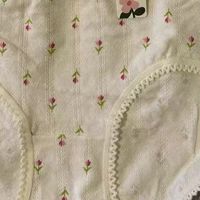 a类棉内裤，纯棉抗菌超有范儿✨