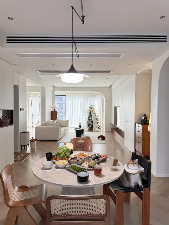 厨房届的白月光，用了两年越看越喜欢