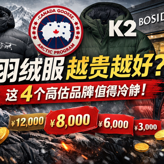 这4个牌子的羽绒服价格已严重偏离价值，从鸟到鹅，涨价还减配？