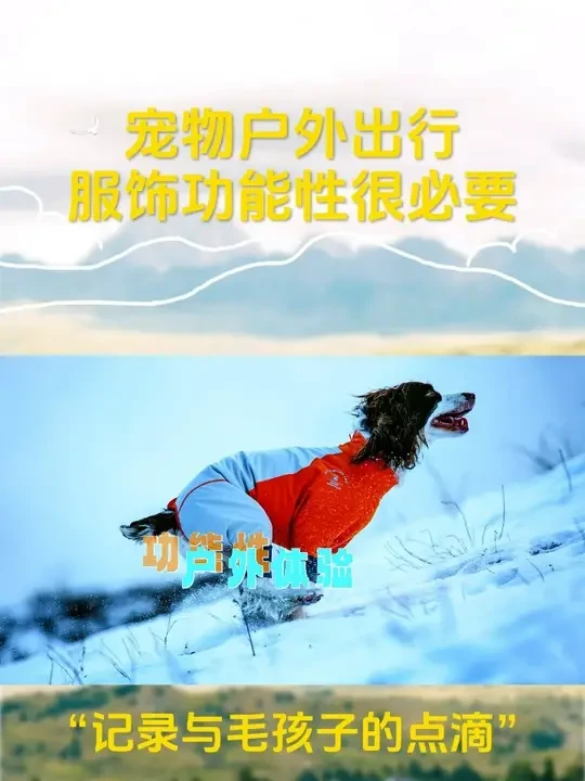 应对宠物户外🐕出行场景的功能性服饰 关注宠物户外各种场景需求，填补国内宠物服饰细分类目。#宠物服饰 #宠物市场 #人宠和谐 #侬好毛爸妈 @SMLIE BOMB LAB