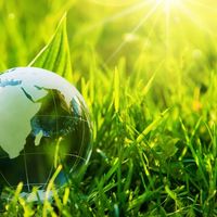 全棉水刺无纺布是环保革命还是营销噱头？1200+用户观点大碰撞