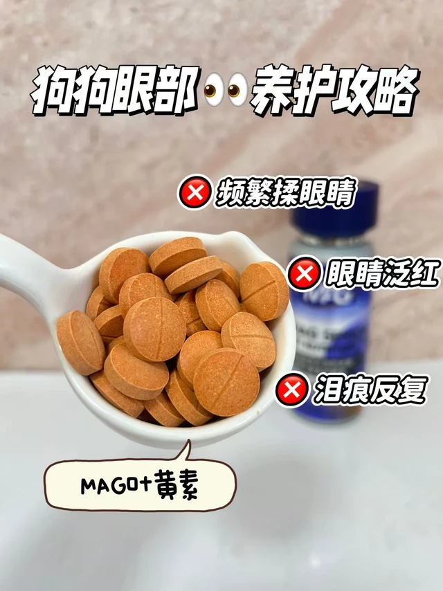MAG叶黄素让我家狗子重获清澈大眼！！