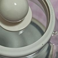 小南瓜养生壶，家用办公煮茶炖品都拿捏