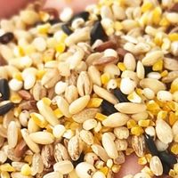 减脂党&养生党狂喜！蒲仓佳七色糙米低卡高纤，一碗吃够7种营养！