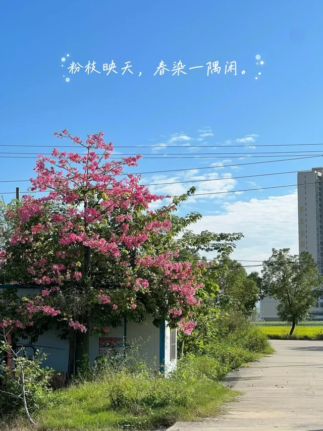 把烟火琐碎，过成指尖小惬意
