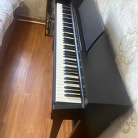 2025 年五款高性价比电钢琴精选推荐，新手入门必看