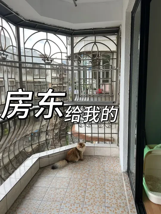 房东：阳台被你改成这样，我还怎么租给别人…