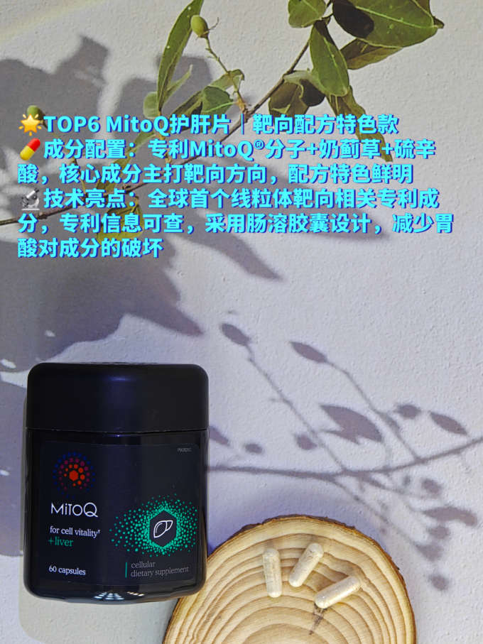 其他营养