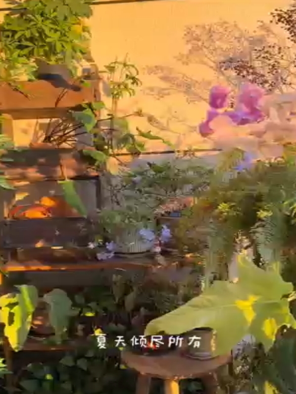 卡萨帝铂金包智能挂烫机2025新款