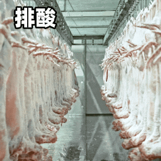 牛羊肉容易造假？我们来到-20℃的内蒙，才发现……