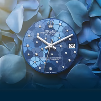 劳力士陆使型发布，保罗·纽曼迪通拿拍卖｜劳力士本周大事