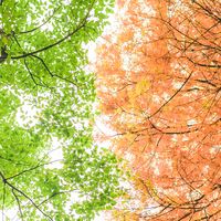 畅行联盟欺骗消费者？长沙清醒旅行防坑全攻略