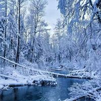 拿起护照就出发，冬天去冰雪世界观奇景