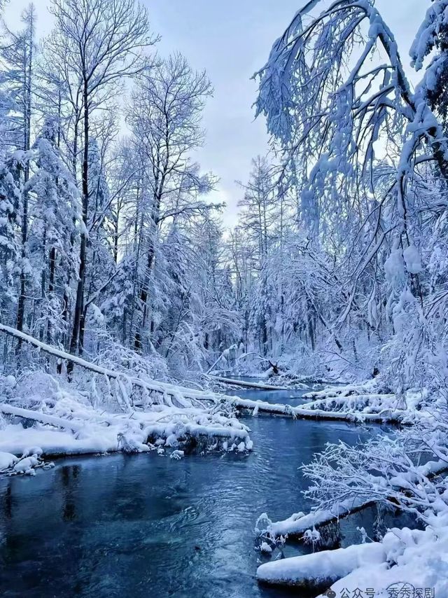 拿起护照就出发，冬天去冰雪世界观奇景
