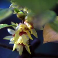 “四离日，四绝日”，分别是指哪四日？有啥说法？