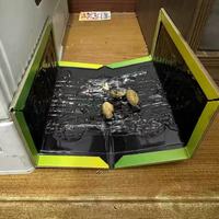 被大老鼠折磨到崩溃？鲁鲁鼠粘鼠板救我于水火！🔥