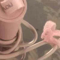 诺为直板夹，小型迷你，宿舍也能轻松变美！