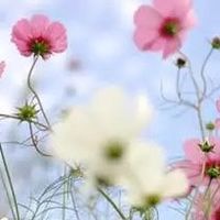 你用对牙膏了吗？这几款超好用！