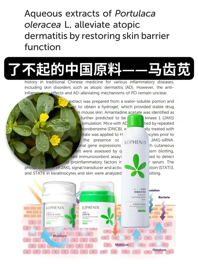 中国没有好的护肤原料？本草纲目早有记载！