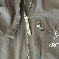 始祖鸟海淘值不值？国内外价差引热议，用户观点大PK