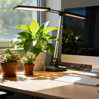 办公室“轻养生”是健康良方还是心理安慰？1000+用户观点大碰撞