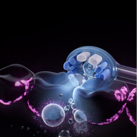 新型电动牙刷技术：真实升级还是营销噱头？3000+用户观点大碰撞