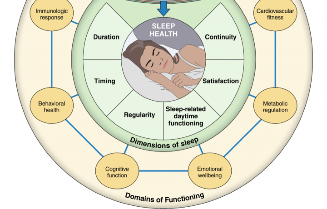 专访苹果科学家:睡眠评分,是路标不是指标