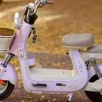 有后座、不用驾照！新国标电动车全国上新，70%能坐娃、能载人