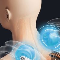 2025年度按摩椅推荐 宅家养生必备健康之选