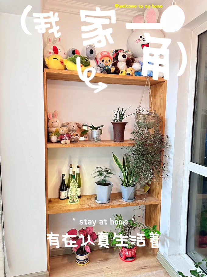 天莺阁客厅置物架