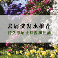 2025去屑洗发水实用指南：净屑止痒温和控油|全肤质去屑少踩雷