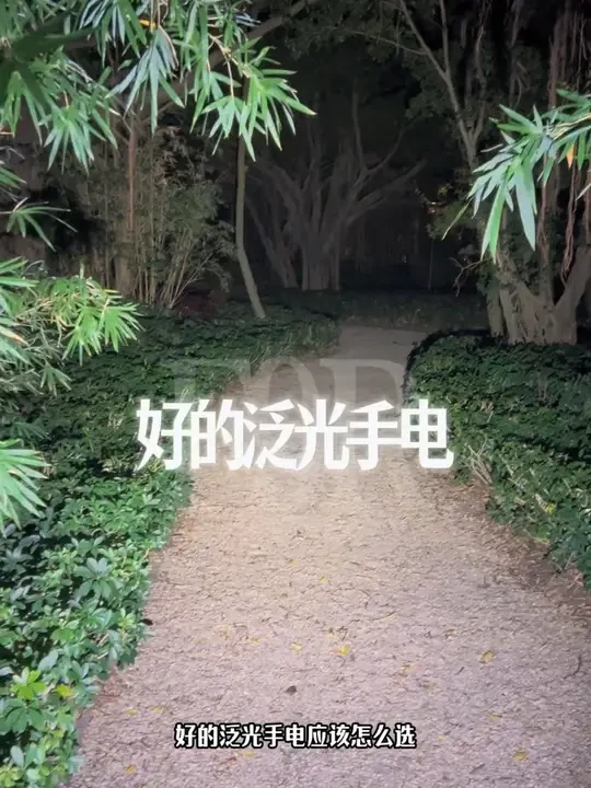 手电不在多，在精！符合一个场景下，人肉眼舒适的感受！#家用手电筒 #户外手电 #卫途F9R #交叉出光