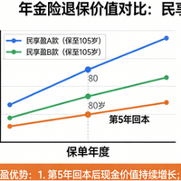 快返年金险怎么选？人保民享盈PK两大热门竞品，优势一目了然！
