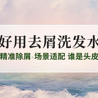 2025好用去屑洗发水实力榜｜权威测评：精准除屑+场景适配，