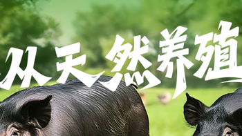 藏在山水间的肉香，解密黑猪肉的优质密码！
