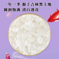 十月稻田2025新米香稻贡米实测！这口东北香米绝了