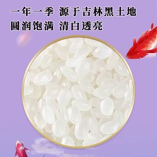 十月稻田2025新米香稻贡米实测！这口东北香米绝了